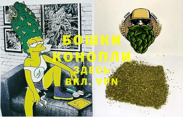 ГАЛЛЮЦИНОГЕННЫЕ ГРИБЫ Горно-Алтайск