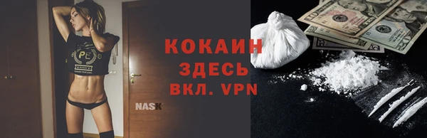 ГАЛЛЮЦИНОГЕННЫЕ ГРИБЫ Горно-Алтайск