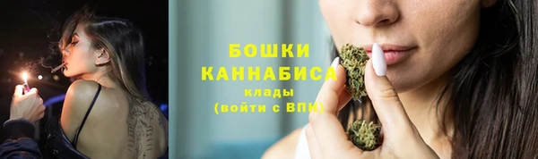 mdpv Горнозаводск