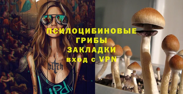 ГАЛЛЮЦИНОГЕННЫЕ ГРИБЫ Горно-Алтайск