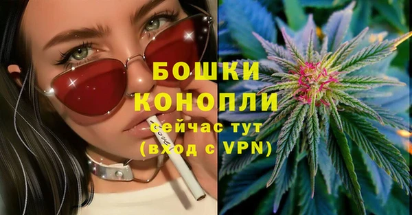 ГАЛЛЮЦИНОГЕННЫЕ ГРИБЫ Горно-Алтайск