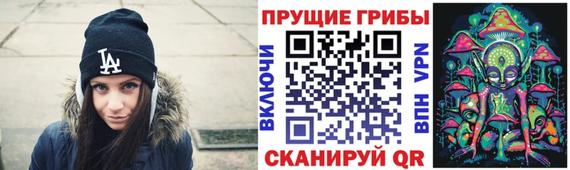 Купить  Нижний Ломов  Галлюциногенные грибы мицелий 